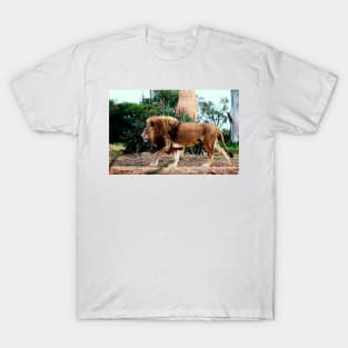 Lion Watercolour T-Shirt